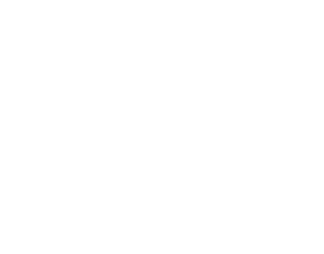 Rapid